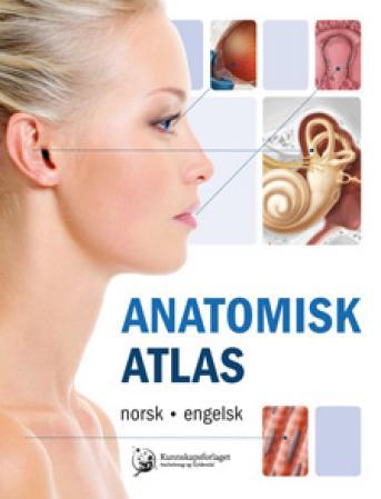 Anatomisk atlas