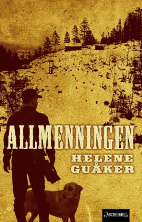 Allmenningen