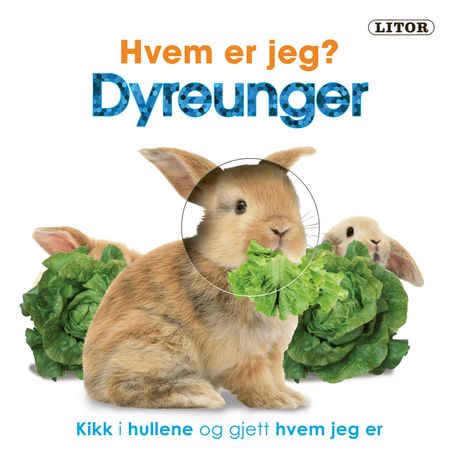 Dyreunger