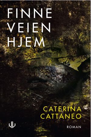 Finne veien hjem