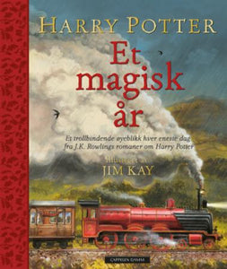 Harry Potter - et magisk år