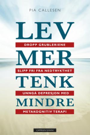 Lev mer tenk mindre