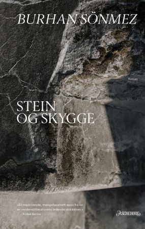 Stein og skygge