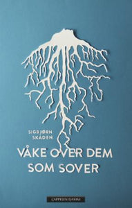 Våke over dem som sover