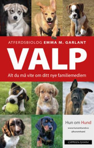 Valp