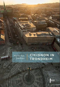 Cicignon in Trondheim