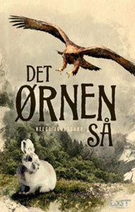 Det ørnen så