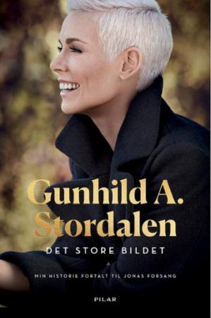 Det store bildet