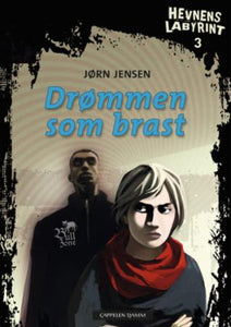 Drømmen som brast