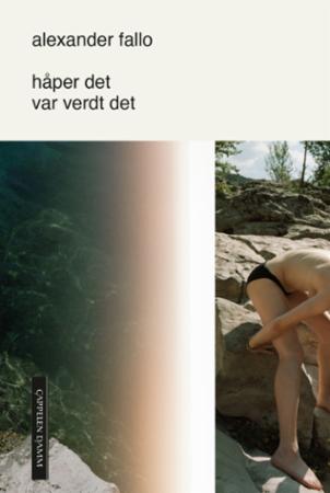 Håper det var verdt det