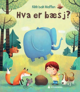 Hva er bæsj?