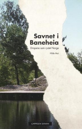 Savnet i Baneheia
