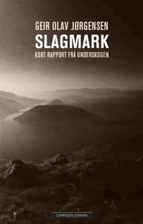 Slagmark