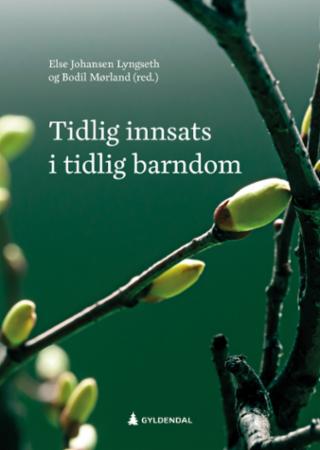 Tidlig innsats i tidlig barndom