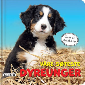 Våre søteste dyreunger